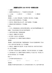 新疆阿克苏市2025年中考一模模拟化学试卷（解析版）