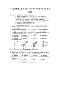 河北省邯郸市大名县2024-2025学年九年级下学期开学考试（扫描版）化学