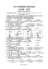 广西省玉林市2024-2025学年九年级下化学期中试卷