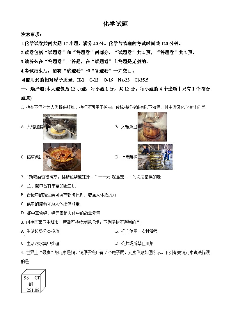安徽省六安市裕安区2024-2025学年九年级下学期3月月考化学试题(原卷版+解析版)第1页