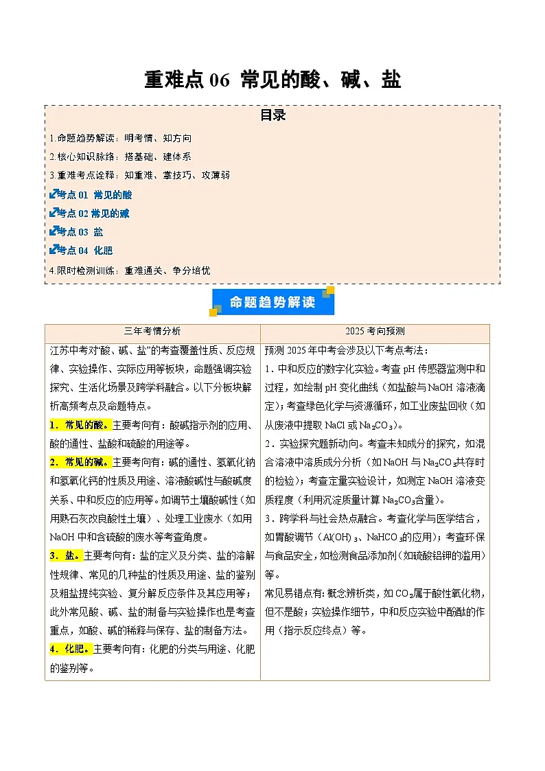 重难点06 常见的酸、碱、盐(解析版)第1页