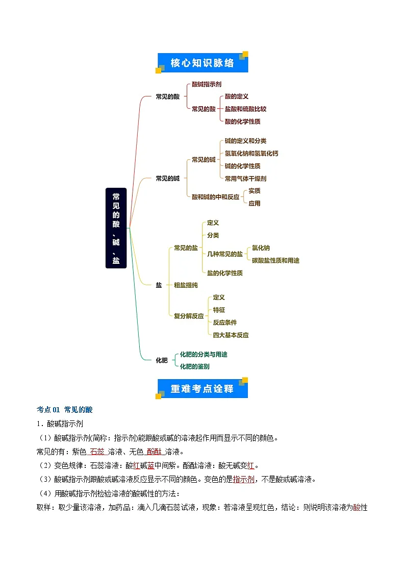 重难点06 常见的酸、碱、盐(解析版)第2页