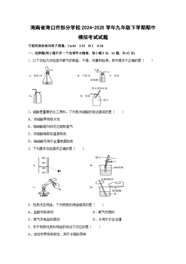 海南省海口市部分学校2024-2025学年九年级下学期期中模拟考试化学试卷(解析版)第1页
