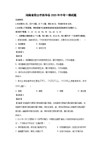 河南省周口市西华县2025年中考一模化学试卷（解析版）