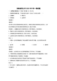 河南省周口市2025年中考一模化学试卷（解析版）