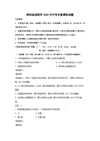 陕西省咸阳市2025年中考全真模拟化学试卷（解析版）