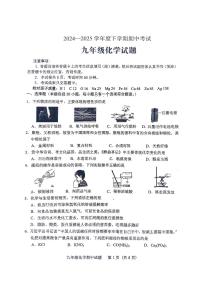 2024-2025学年山东省泰安市肥城市九年级下学期化学期中试卷+答案