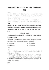 山东省日照市五莲县2023-2024学年九年级下学期期中考试化学试卷（解析版）