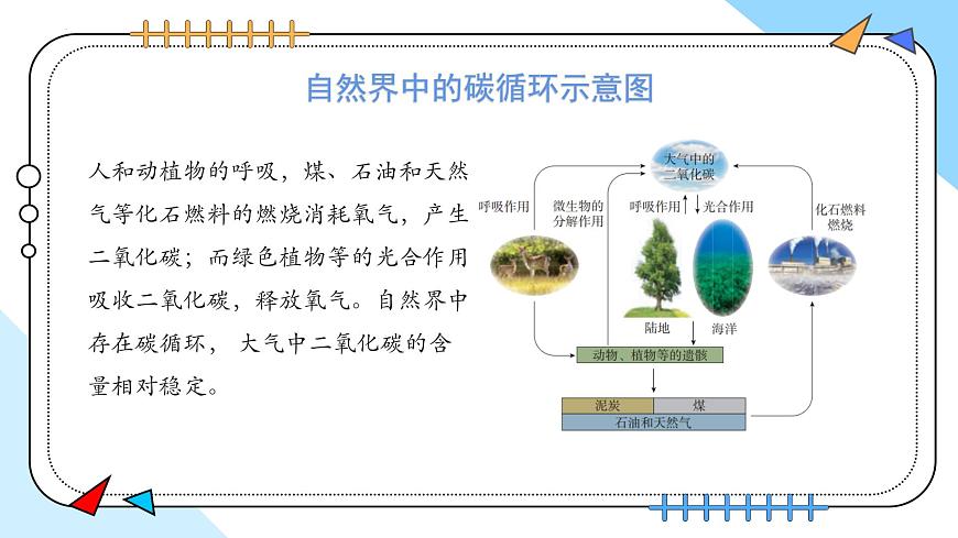 6.2碳的氧化物(第2课时)---2024--2025学年九年级化学人教版(2024)上册课件第8页