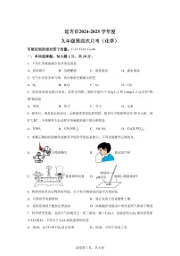 2025届吉林省延吉市中考（一模）化学检测试题（含解析）