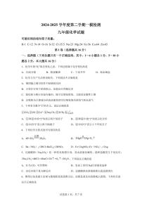 2025届山东省济宁市任城区中考（一模）化学检测试题（含解析）