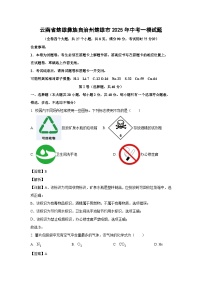 云南省楚雄彝族自治州楚雄市2025年中考一模化学试题（解析版）