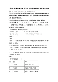山东省淄博市张店区2025年中考年级第一次模拟考试化学试题（解析版）