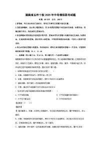 湖南省五市十校2025年中考模拟联考化学试题（解析版）