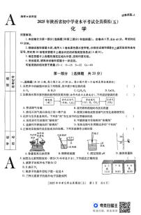2025年陕西省咸阳市永寿县初中学业水平考试化学全真模拟试卷（中考模拟）