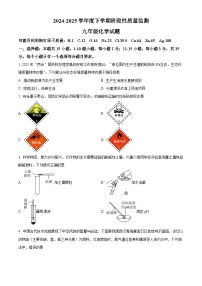 2025年山东省临沂市郯城县中考一模化学试题(原卷版+解析版)(中考模拟)