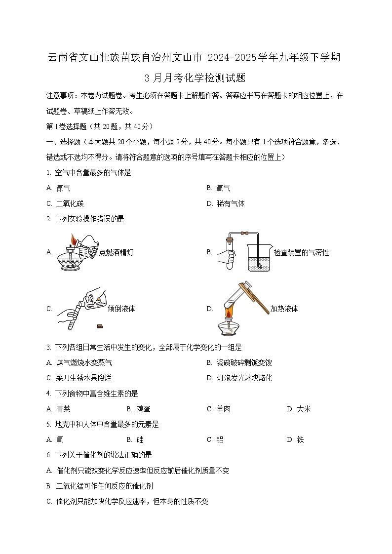云南省文山壮族苗族自治州文山市2024-2025学年九年级下学期3月月考化学检测试题(附答案)第1页