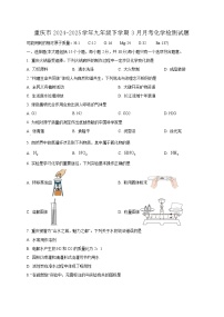 重庆市2024-2025学年九年级下学期3月月考化学检测试题（附答案）