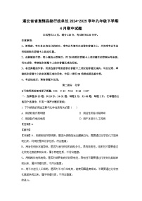 湖北省省直辖县级行政单位2024-2025学年九年级下学期4月期中化学试卷（解析版）