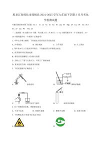 黑龙江省绥化市绥棱县2024-2025学年九年级下学期3月月考化学检测试题（含答案）
