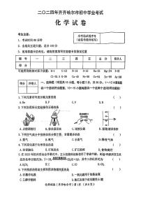 2024年黑龙江省齐齐哈尔市中考化学试题（含答案）