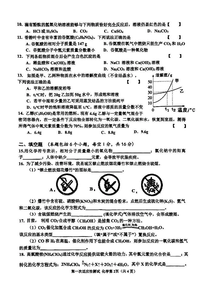 2025年河南省商丘市夏邑县中招第一次适应性考试化学试卷(中考模拟)第2页