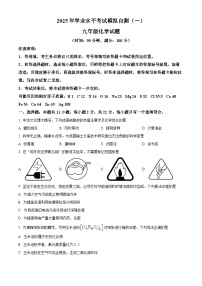 2025山东省潍坊市青州市中考一模化学试题（中考模拟）