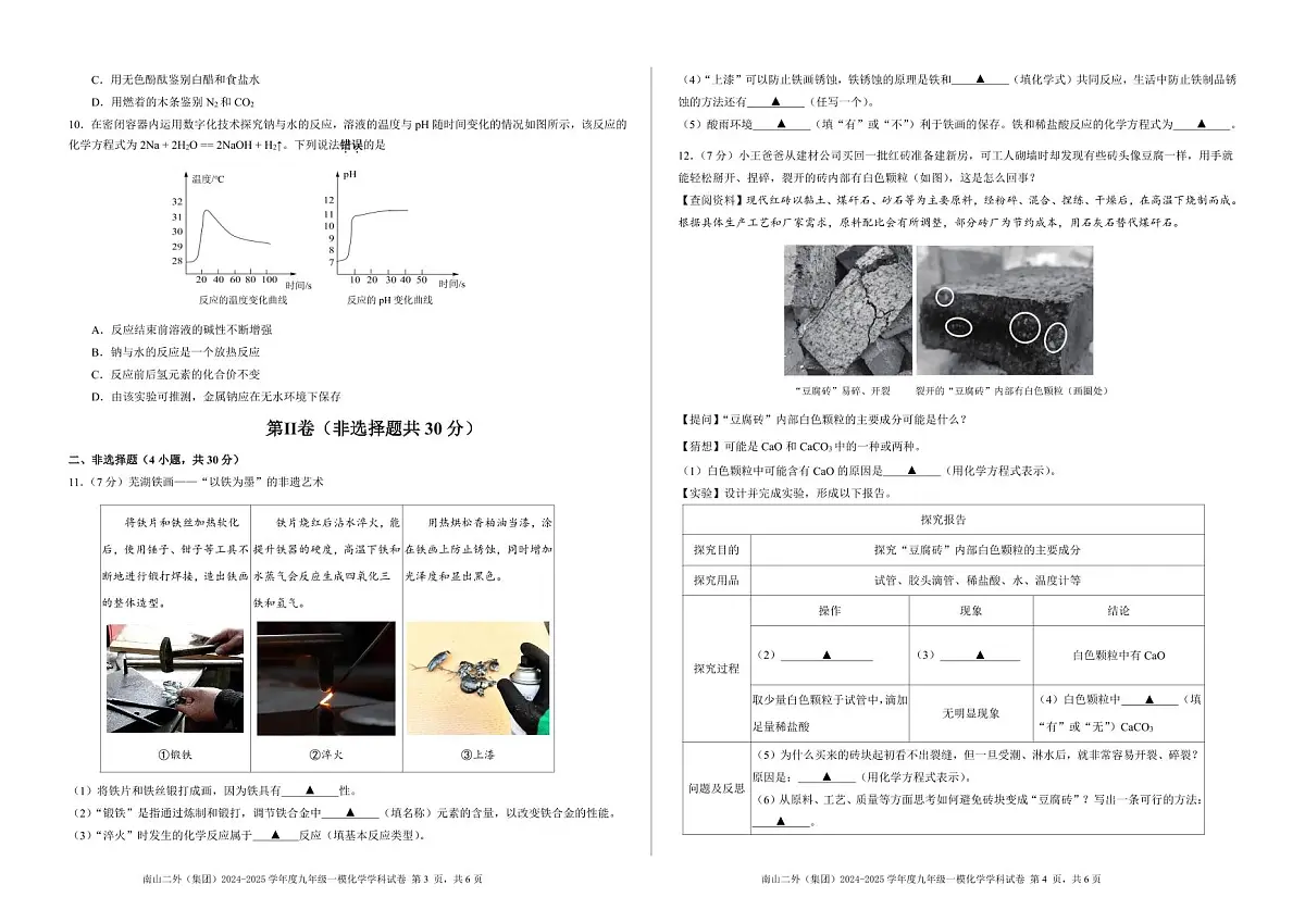 深圳市南山二外(集团)2024-2025学年九年级一模化学学科试卷+答案第2页