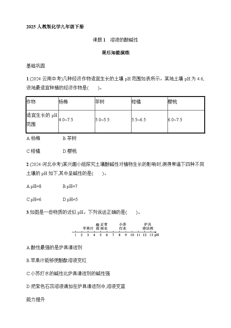 2025人教版化学九年级下册同步练习--课题1 溶液的酸碱性(含解析)第1页