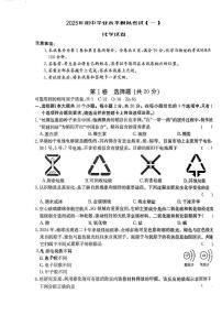 2025年中考模拟试卷化学试卷含答案