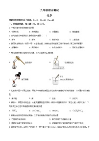 吉林省延吉市第十三中学2025年九年级中考一模化学试题（原卷版+解析版）