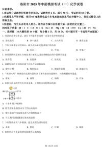 2025年河南省洛阳市中考一模化学试题及参考答案