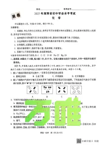 2025《万唯中考•湖南黑白卷》化学黑卷