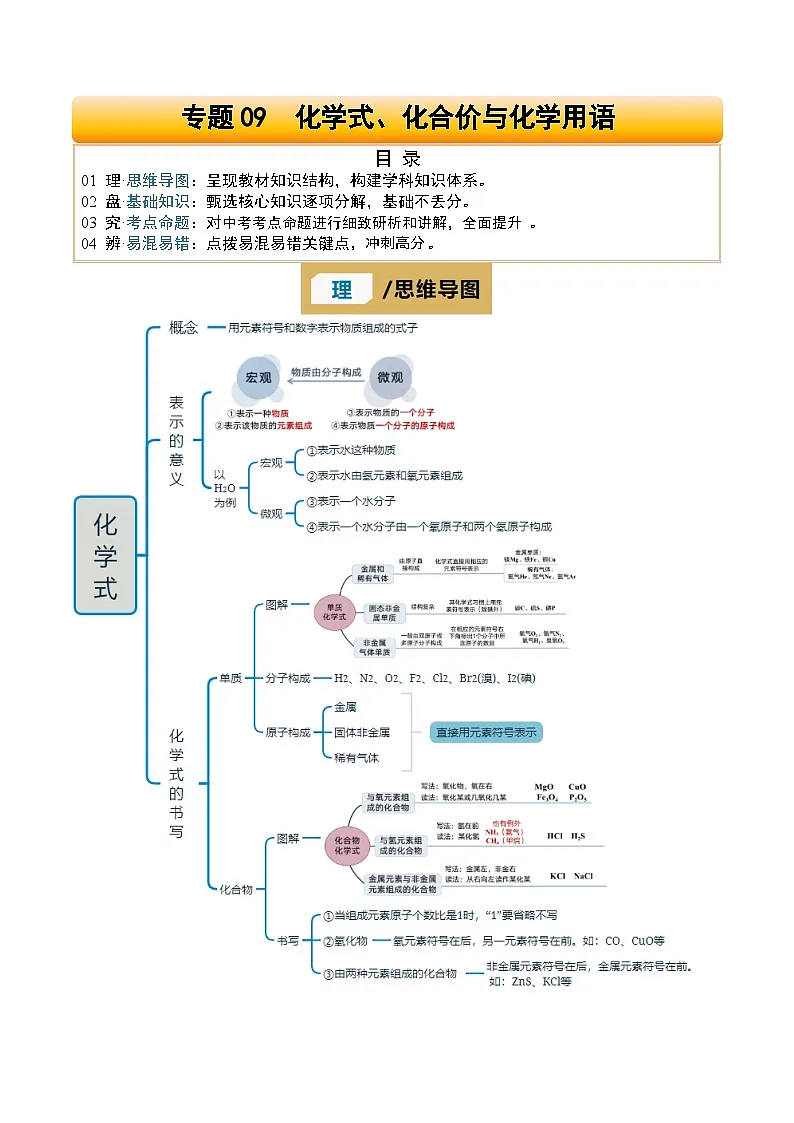 专题09 化学式、化合价与化学用语(原卷版)第1页