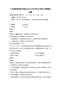 广东省珠海市部分学校2024-2025学年九年级下学期期中化学试题(解析版)