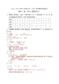 广东省深圳市龙岗区宏扬学校2024-2025学年九年级上学期11月期中考试化学试题