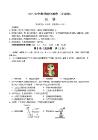 2025年中考押题预测卷：化学（安徽卷02）（考试版）