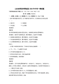 山东省菏泽市鄄城县2025年中考一模化学试题(解析版)