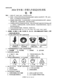 2025年广东省佛山顺德区中考二模化学试题(中考模拟)