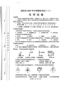 2025年河南省洛阳市九年级第三次中招模拟考试化学试卷（中考模拟）