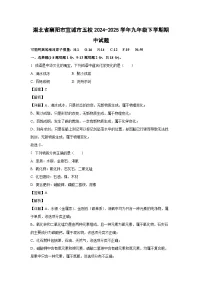 湖北省襄阳市宜城市五校2024-2025学年九年级下学期期中化学试题(解析版)