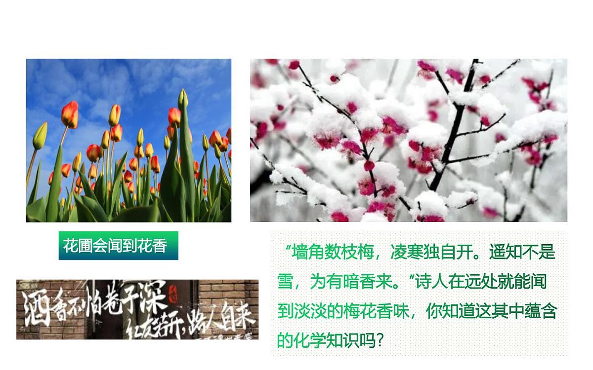 课题1+分子和原子(共2课时)(同步课件)-【大单元教学】2024-2025学年九年级化学上册同步备课系列(人教版2024)第5页