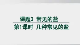 2025年春人教版化學(xué)九年級(jí)下冊(cè)上課課件 第十單元 課題3 第1課時(shí) 幾種常見的鹽