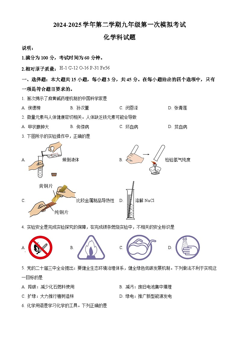 2025年广东省肇庆市地质中学九年级第一次模拟考试化学试题(中考模拟)第1页