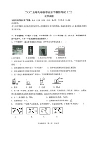2025年山东省菏泽市巨野县中考二模化学试题(中考模拟)