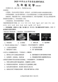 2025年山东省济南市槐荫区中考三模化学试题（中考模拟）