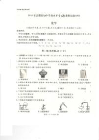 2025年云南省楚雄彝族自治州楚雄市中考三模化学试题（中考模拟）