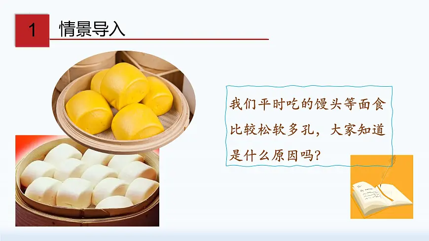 8.3.1碳酸氢钠和碳酸钠-2024-2025学年九年级化学鲁教版下册课件第3页