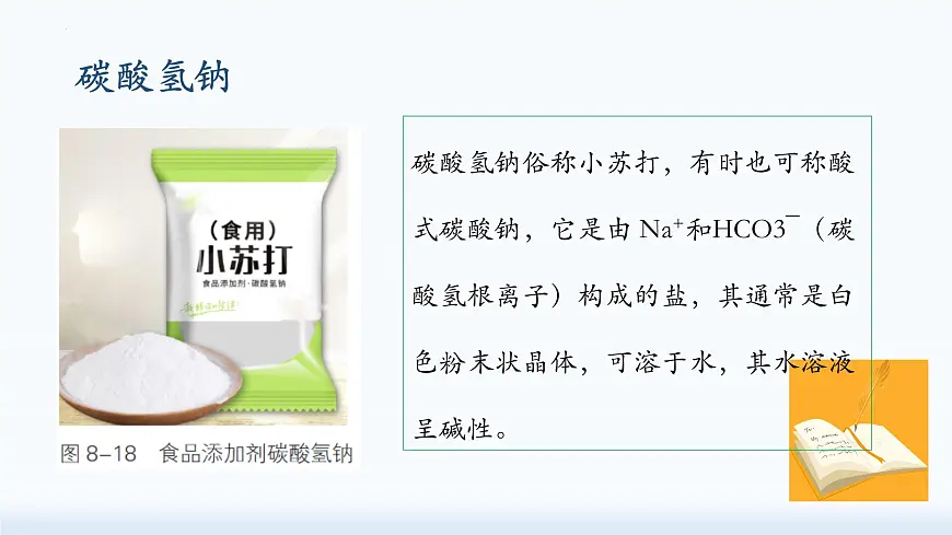 8.3.1碳酸氢钠和碳酸钠-2024-2025学年九年级化学鲁教版下册课件第6页