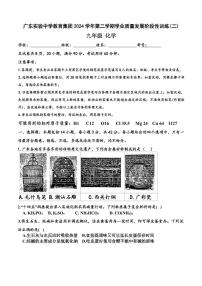 2025年广东省广东实验中学中考二模化学试题（中考模拟）